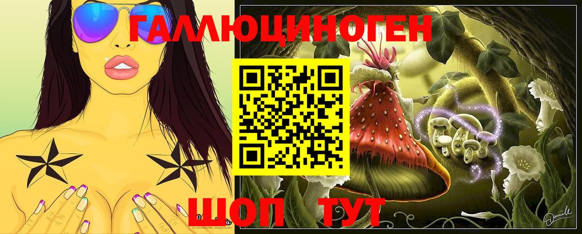 Гай  Галлюциногенные грибы мицелий  Вход с VPN 